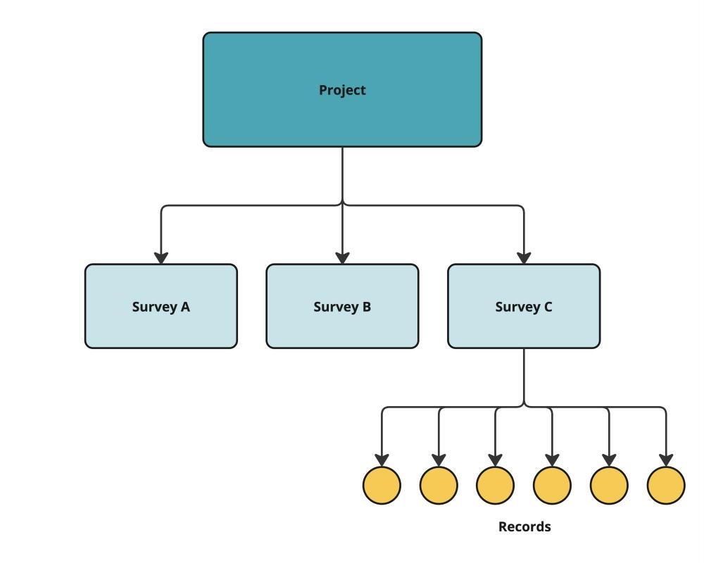 SSD Hierarchy
