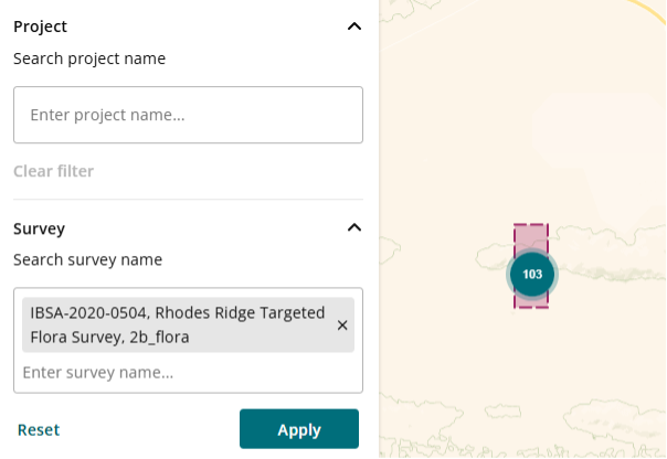project or survey boundaries