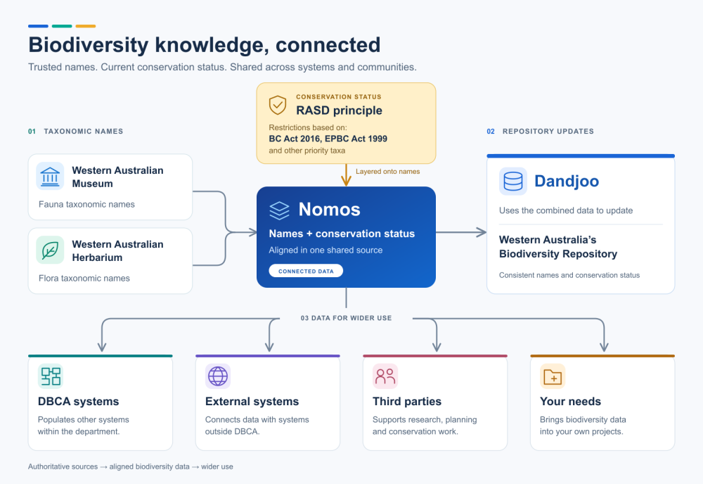 Nomos Data Flow